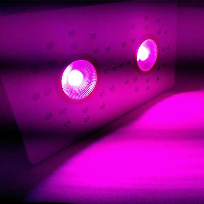336w 3 switchable control Full Spectrum led marijuana grow light for indoor medical plants grow VEG &Flower hydroponic
