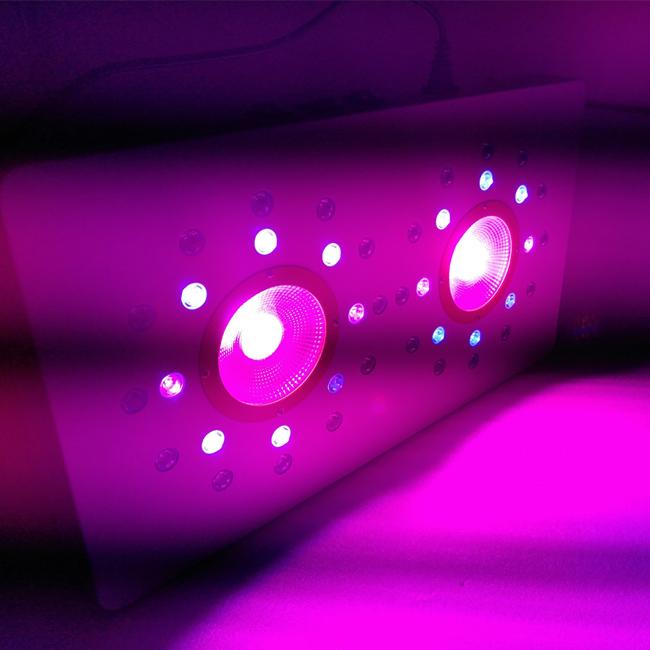 8leds 3w trên mỗi cụm