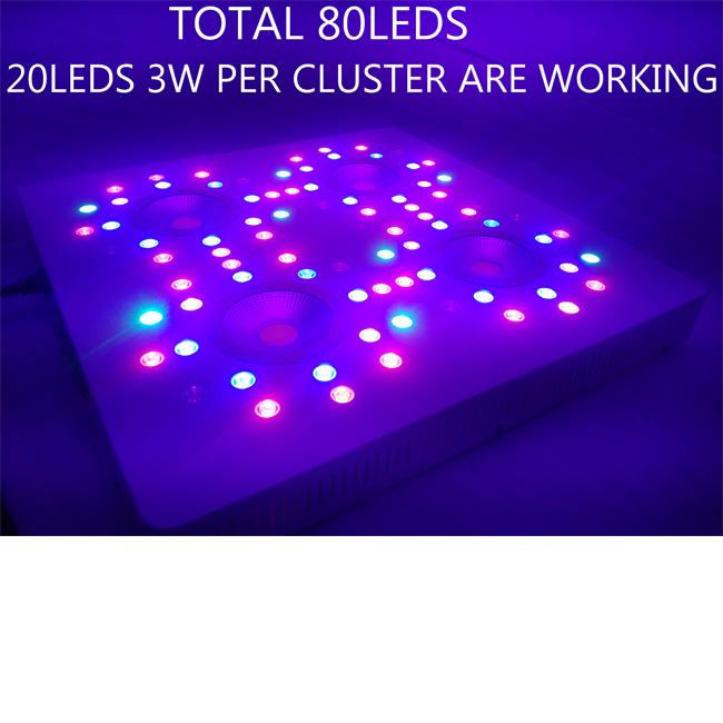 20 led 3w trên mỗi cụm