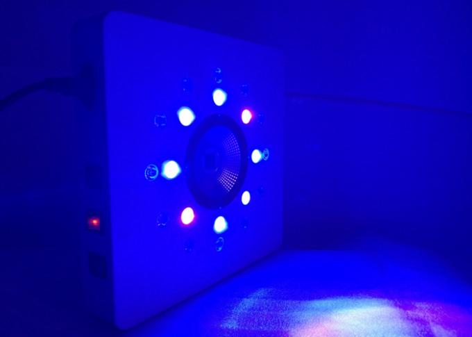 8leds 3w trên mỗi cụm đang hoạt động