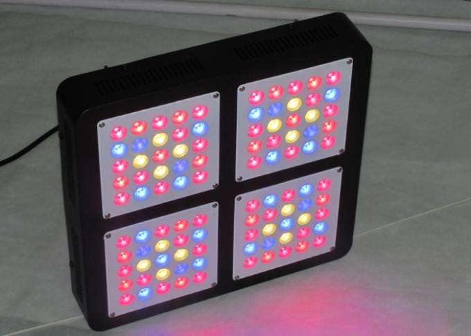 300W dẫn phát triển đèn
