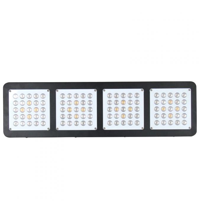 500W dẫn phát triển ánh sáng