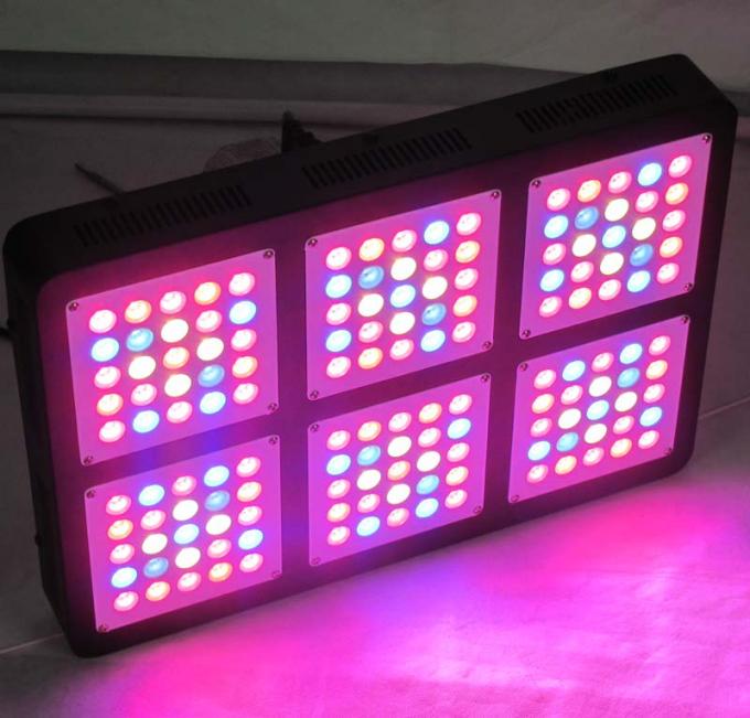 750w dẫn phát triển ánh sáng