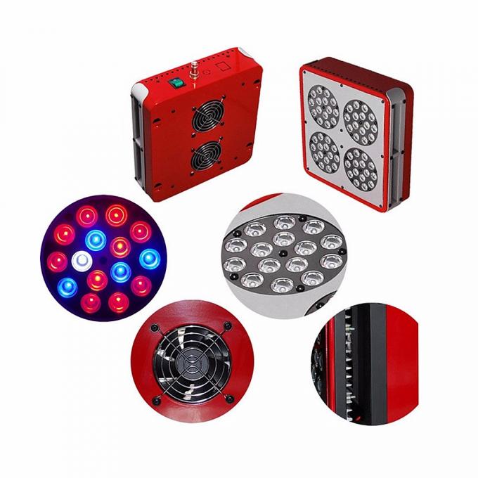 apollo 4 dẫn phát triển ánh sáng