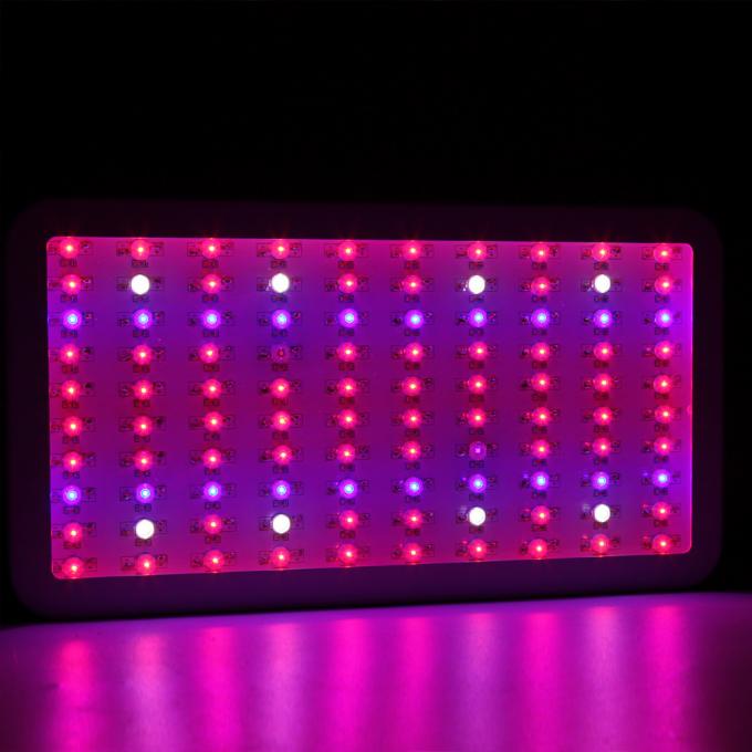 300W dẫn phát triển ánh sáng
