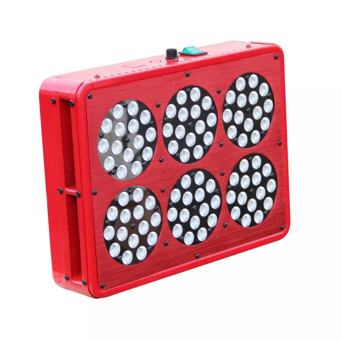 Người trồng rừng apollo 6 dẫn đèn phát triển