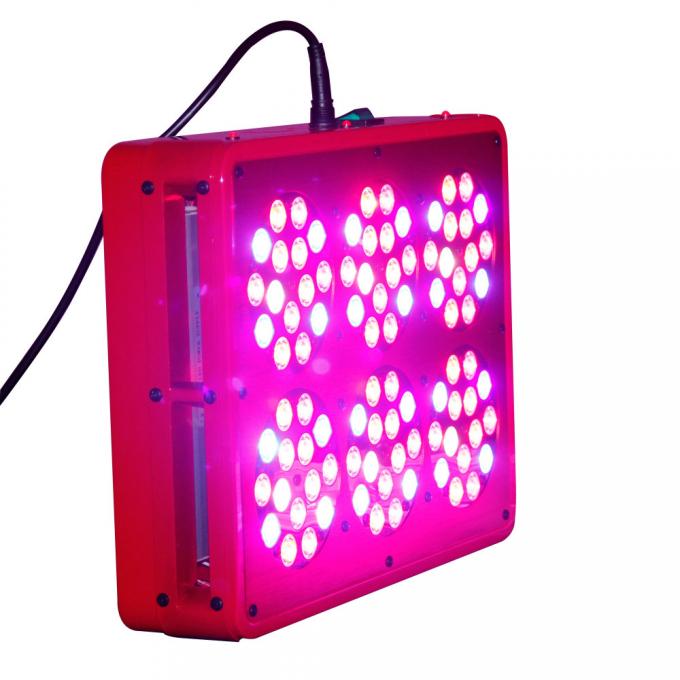 Người trồng rừng apollo 6 dẫn đèn phát triển