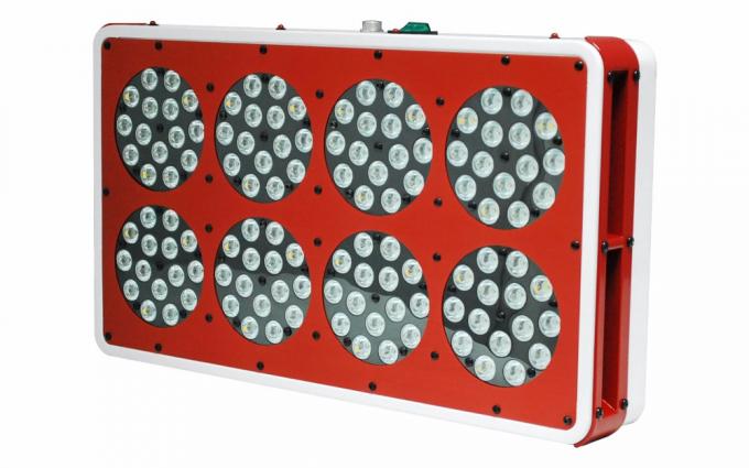 apollo dẫn phát triển đèn