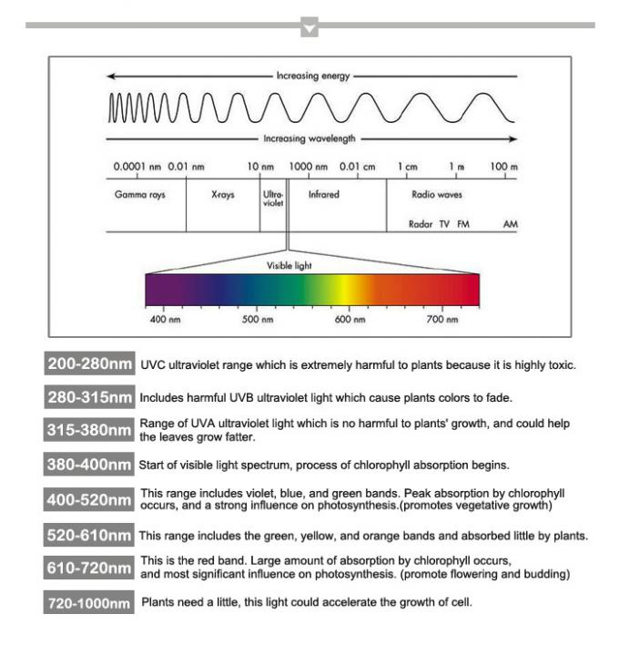 9w giá bán buôn dẫn phát triển bóng đèn cho cây trồng thủy canh phát triển cỏ dại cần sa nhà máy y tế để tăng sản lượng